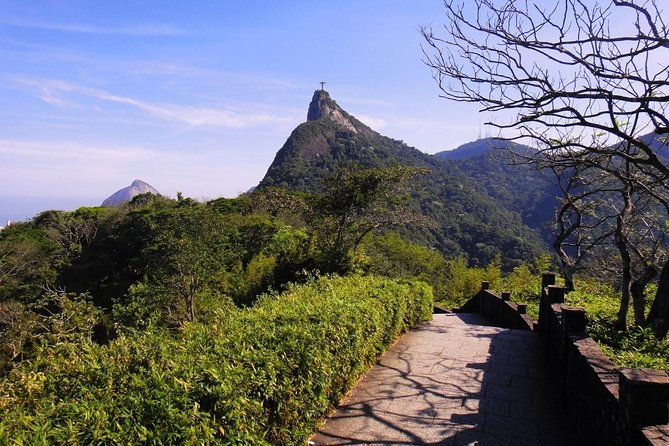 tijuca-forest-botanic-garden-lage-park-by-alan-denis