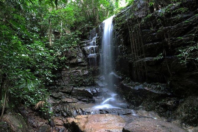 tijuca-forest-hiking-tour-including-waterfalls