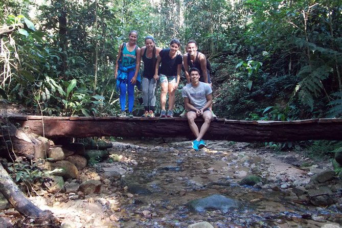 tijuca-forest-hiking-tour-including-waterfalls