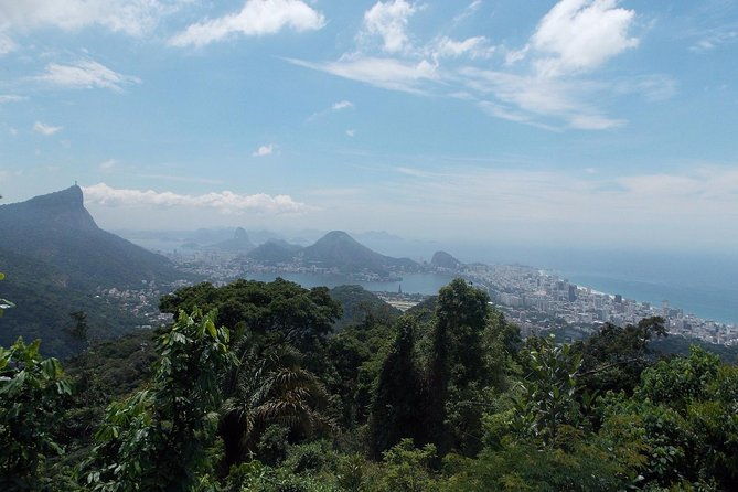tijuca-forest-jeep-tour