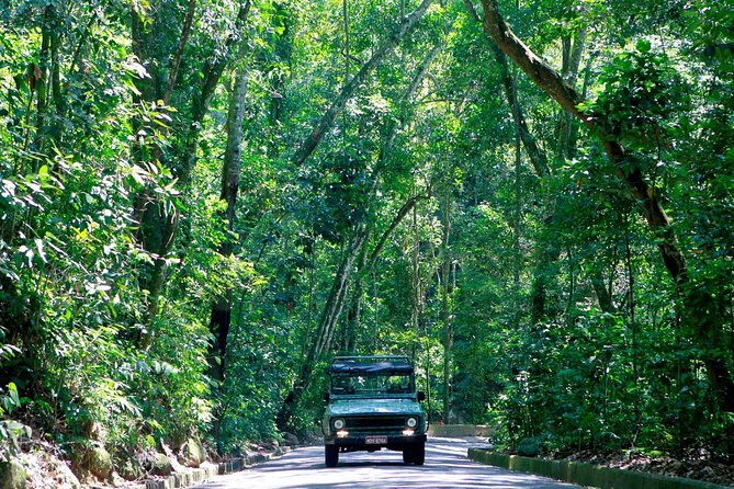 tijuca-forest-jeep-tour