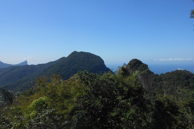 tijuca-forest-national-park