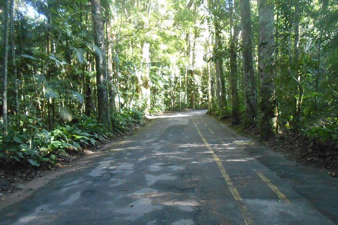 tijuca-forest-national-park
