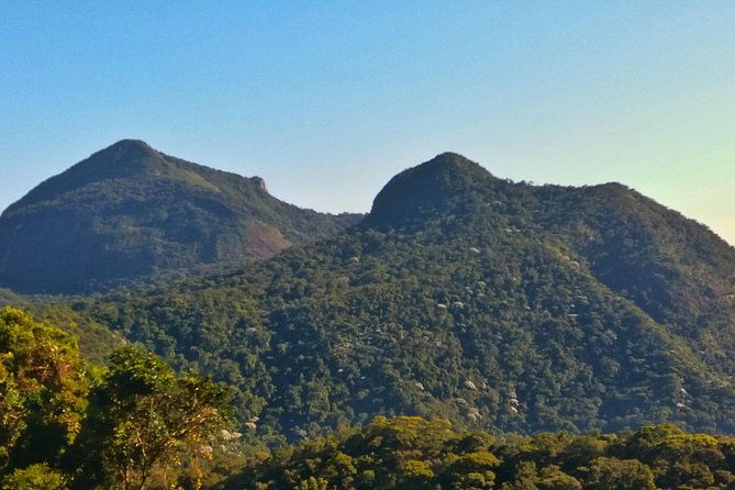 tijuca-forest-trail-running-tour
