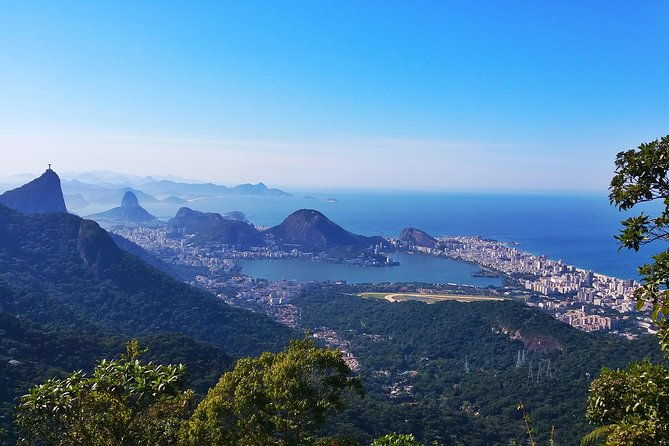 tijuca-forest-trail-running-tour