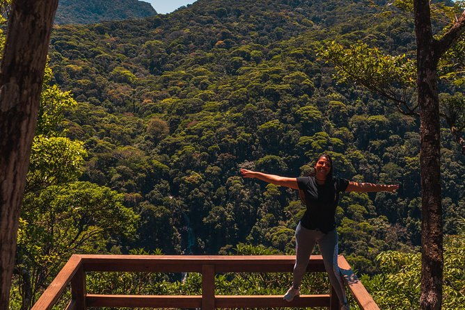 tijuca-forest-trail-specialized-guide-and-photos