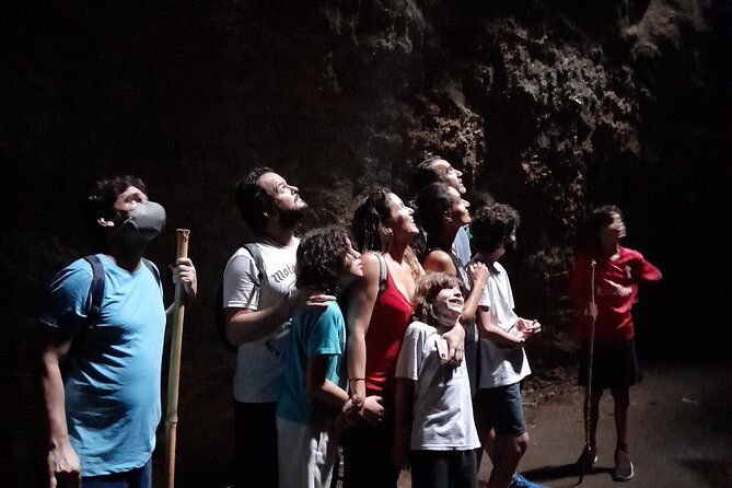 tijuca-national-park-and-all-its-wonders