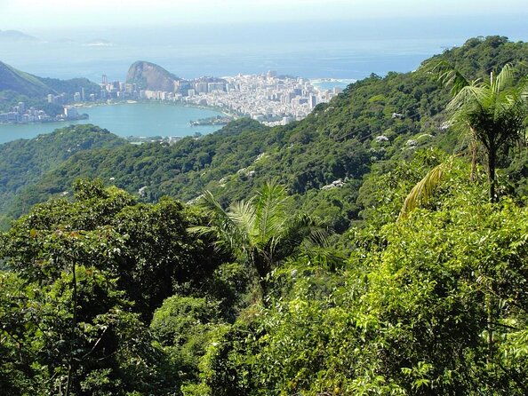 tijuca-national-park-and-botanic-garden-guided-tour-transfer