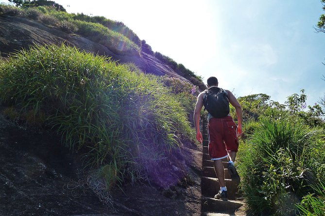 tijuca-rainforest-hiking-tour-in-rio-de-janeiro