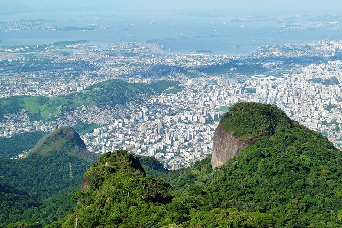 tijuca-rainforest-hiking-tour-in-rio-de-janeiro
