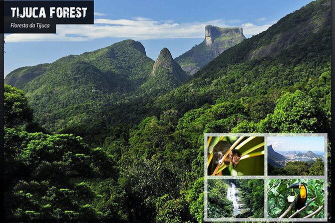 tijucas-national-park-eco-hiking-tour