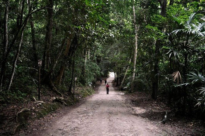 tikal-and-yaxha-exclusive-private-tour-from-flores
