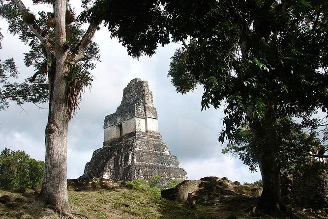 tikal-and-yaxha-exclusive-private-tour-from-flores