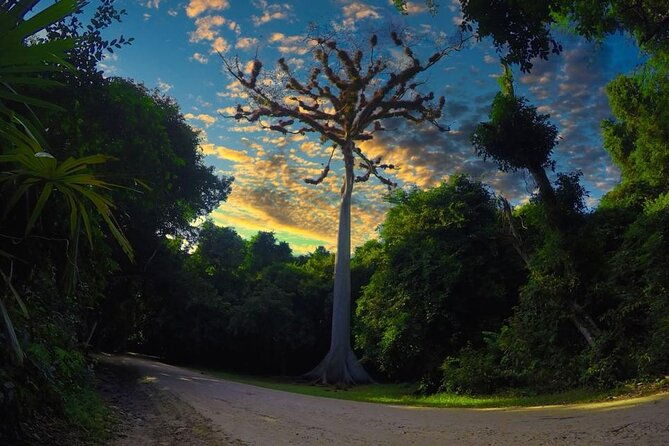 tikal-day-tour-from-san-ignacio-belize