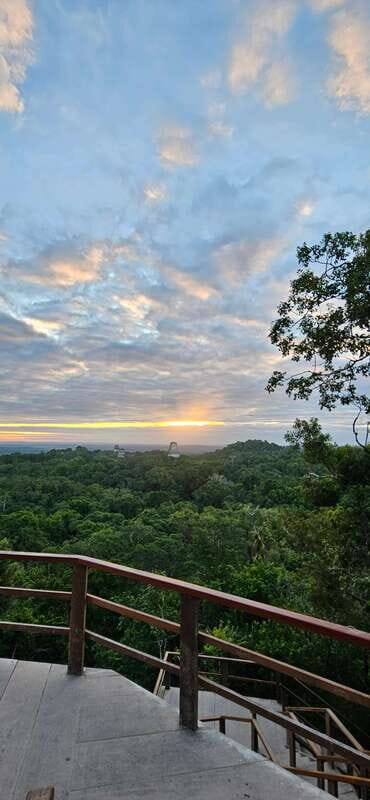 Tikal from Hotel Camino Real El Remate - All Inclusive - What to Expect from the Tikal Tour