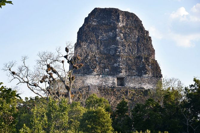 tikal-full-day-group-tour
