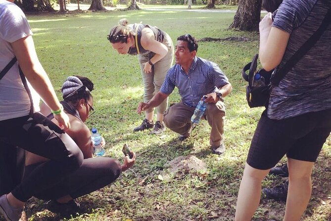 tikal-private-day-tour-maya-adventure-from-flores