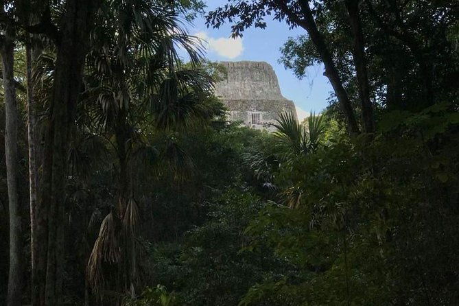 tikal-private-tour-from-belize-border