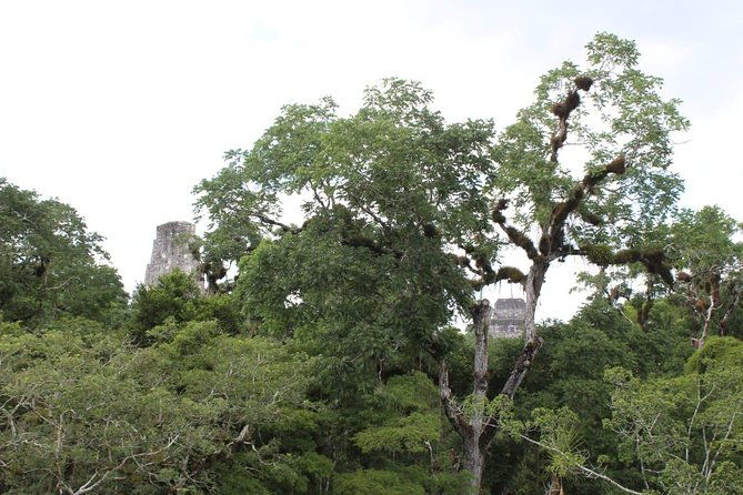 tikal-vip-exclusive-all-inclusive-tour-from-belize-border