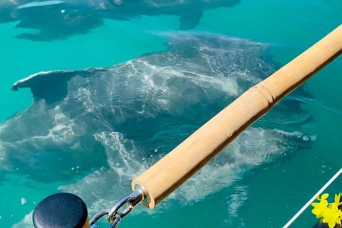 Tiki Boat - Clearwater - The Only Authentic Floating Tiki Bar - FAQ
