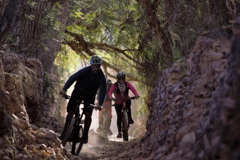tilcara-2-hours-cycling-tour-trough-the-rural-area