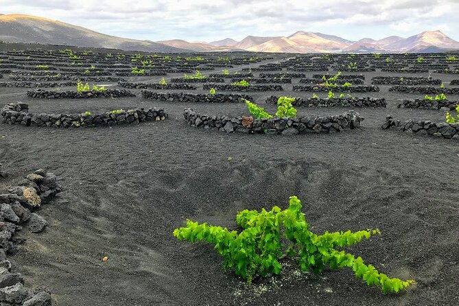 timanfaya-lanzarote-volcano-experience