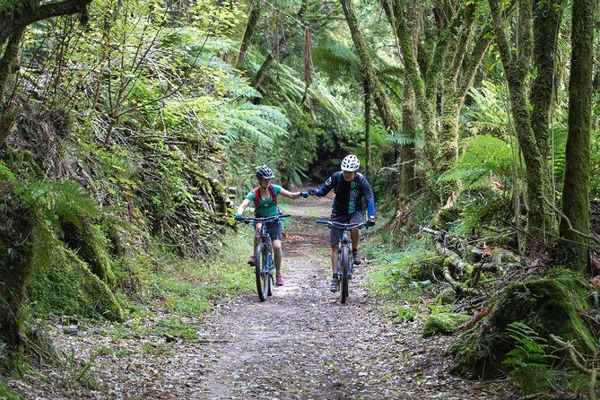 Timber Trail - Ongarue to Pureora Shuttle 2 Day Ride - Day 2: From Piropiro to Ongarue