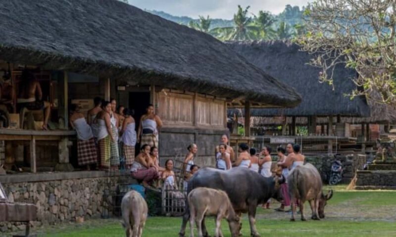 Time Travel Through Ancient Bali: East Bali Cultural Journey - Time Travel Through Ancient Bali: East Bali Cultural Journey