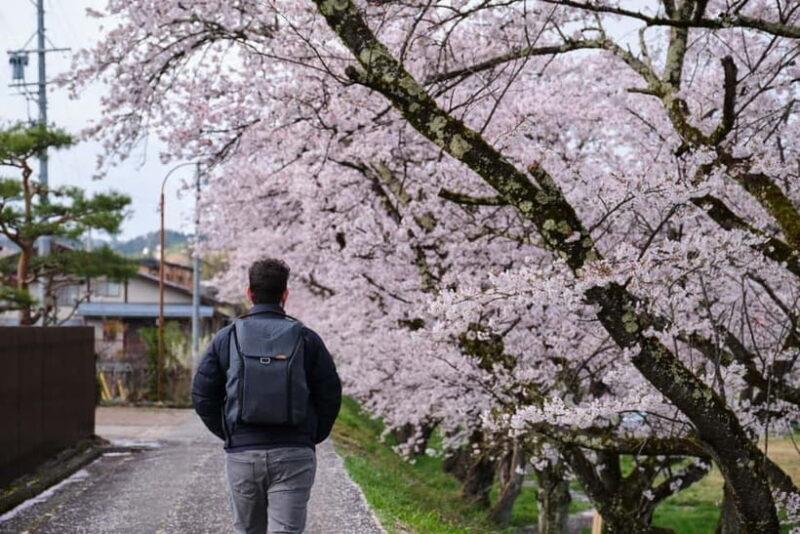 Timeless Takayama: Private Walk Through History & Beauty - Key Points