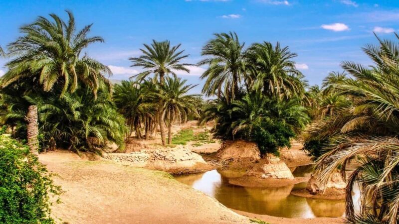 Timimoun: Guided Walking Tour with Lunch - Who Would Enjoy This Tour?