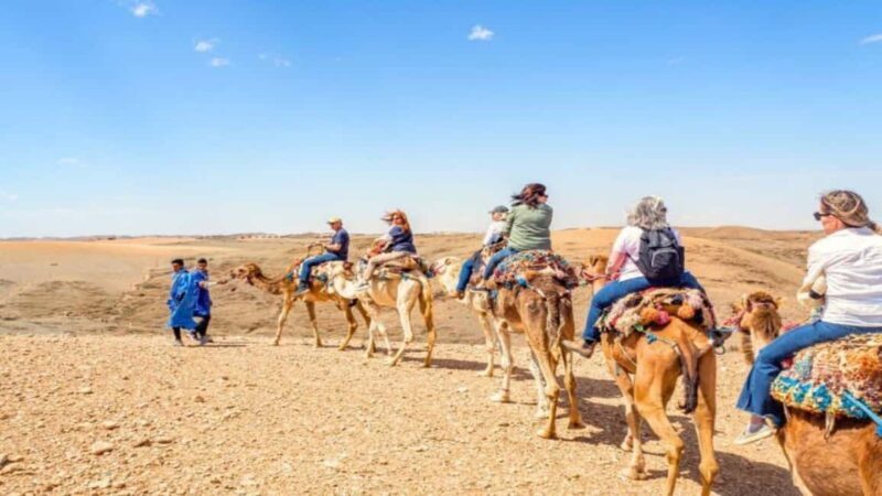 Timimoun: Sahara Camel Ride with Dinner and Music Show - Key Points