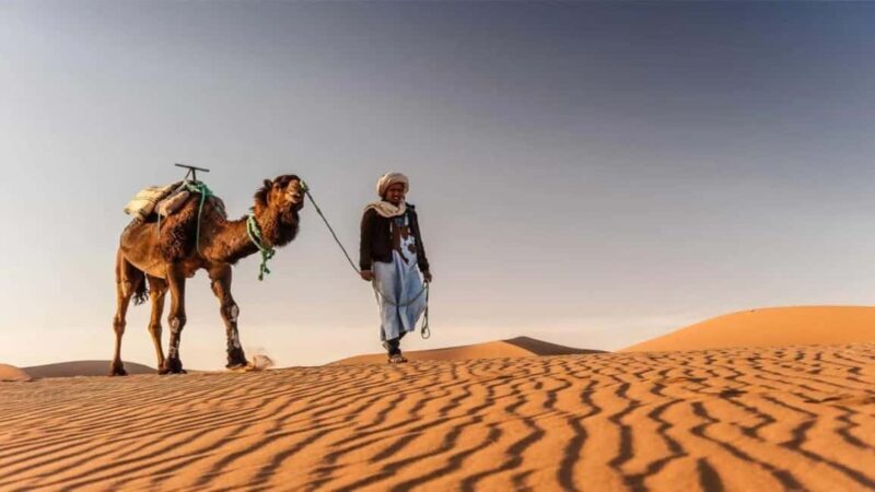 Timimoun: Sahara Camel Ride with Dinner and Music Show - A Closer Look at the Sahara Camel Ride Experience