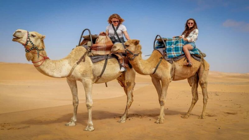 Timimoun: Sahara Camel Ride with Dinner and Music Show - Nighttime Entertainment: Music and Fire