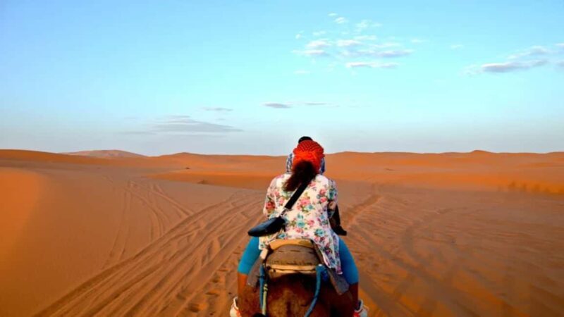 Timimoun: Sahara Camel Ride with Dinner and Music Show - Why This Tour Works