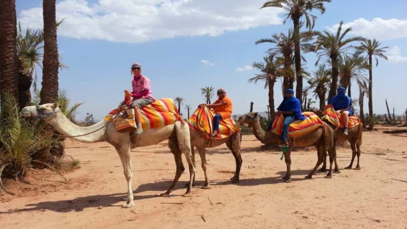 Timimoun: Sahara Camel Ride with Dinner and Music Show - Who Should Consider This Tour?