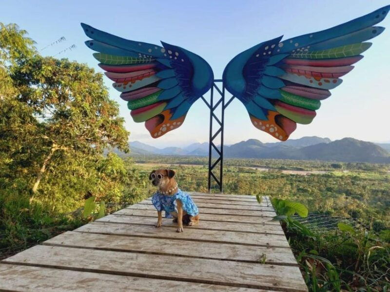 tingo-maria-boating-experience-on-laguna-de-los-milagros-2