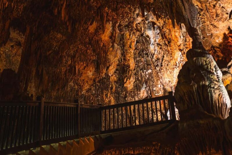 Tingo Maria: Mantle Cave - What to Expect on the Journey