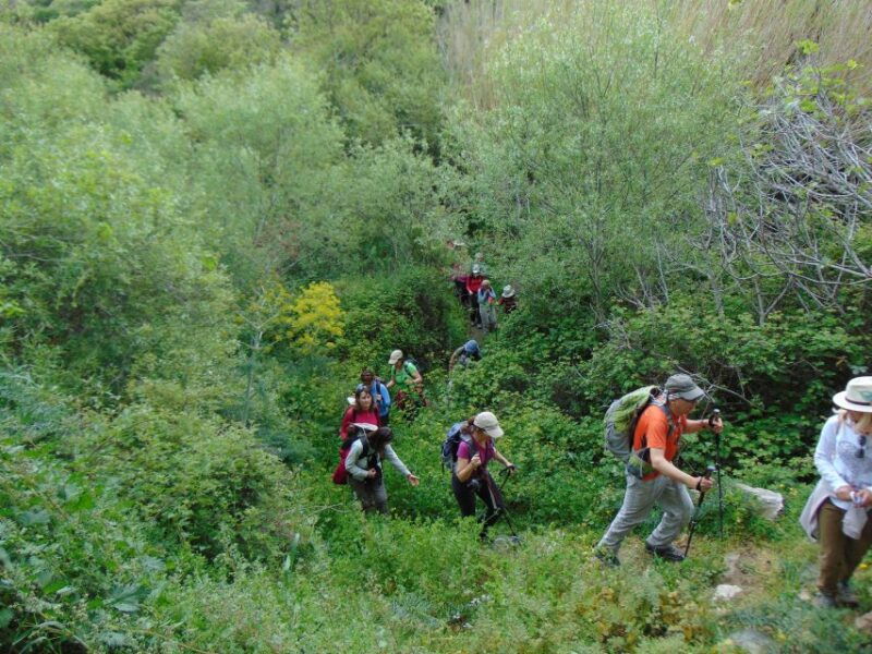 tinos-tarampados-to-komi-guided-hiking-tour