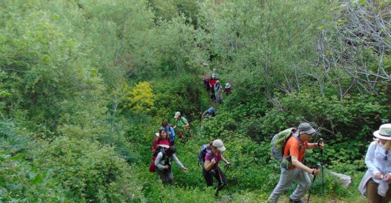 tinos-tarampados-to-komi-guided-hiking-tour