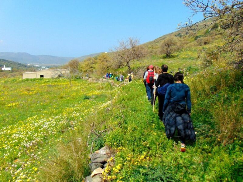 tinos-tarampados-to-komi-guided-hiking-tour