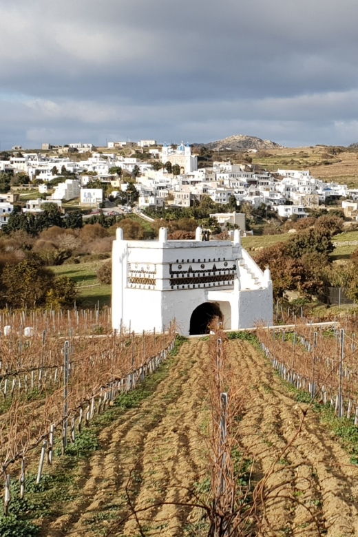 tinos-winery-tour-and-wine-tasting-paired-with-snacks