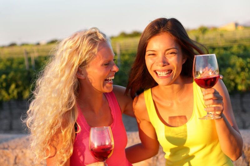 tinos-winery-tour-and-wine-tasting-paired-with-snacks