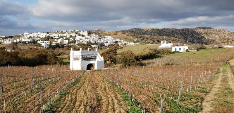 tinos-winery-tour-and-wine-tasting-paired-with-snacks