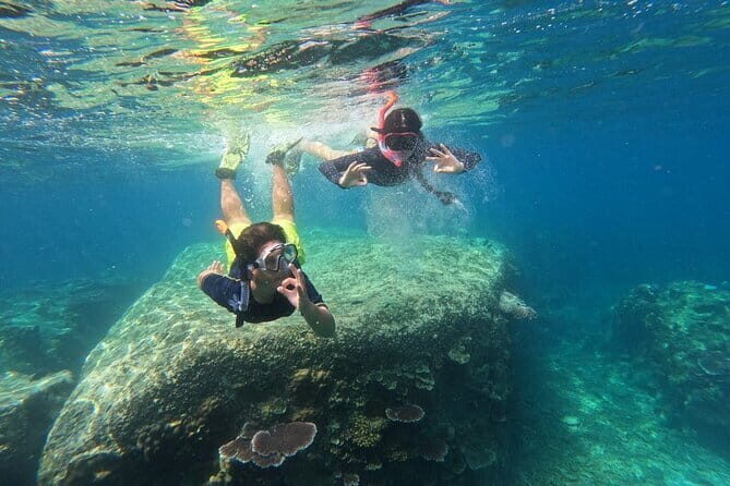 Tioman Coral Island Snorkeling & Island Hopping Tour - The Sum Up