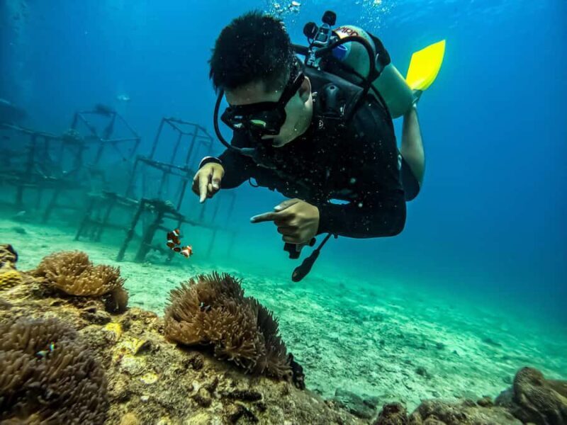 Tioman Island, Malaysia: Discover Scuba Diving Adventure - Key Points