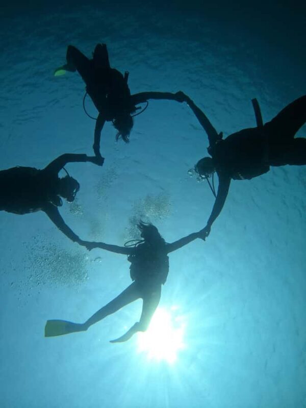 Tioman Island, Malaysia: Discover Scuba Diving Adventure - What To Expect From the Marine Life Encounter