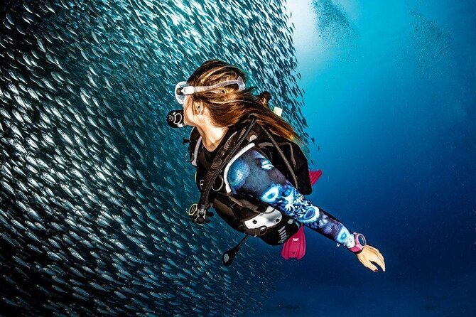 Tioman Scuba Diving for Beginners - Final Thoughts