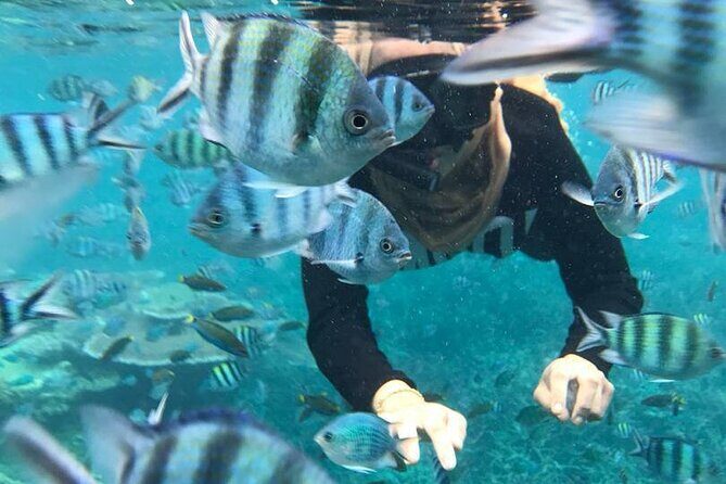 Tioman Waterfall & Snorkeling Private Tour - Exploring the Tioman Waterfall & Snorkeling Private Tour: A Detailed Review