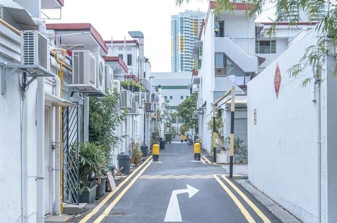 Tiong Bahru: Stories & Snacks in Singapore's Oldest Estate - Practical Details and What You Should Know
