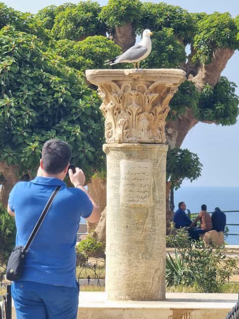 Tipaza and Cherchell: Private Guided Tour - Who Should Consider This Tour?
